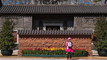 岭南之风位于荔枝角公园，是采用传统岭南风格造园的中式庭院。岭南之风围绕中央水池向外延伸，亭台、小径以经典的几何形状扩展。花园东大门有一道影壁墙，能缓冲视线，提升空间的私隐度。当访客循影壁墙进入公园，被蔽掩的花园景色随着步履映入眼帘，营造强烈的步移感。
